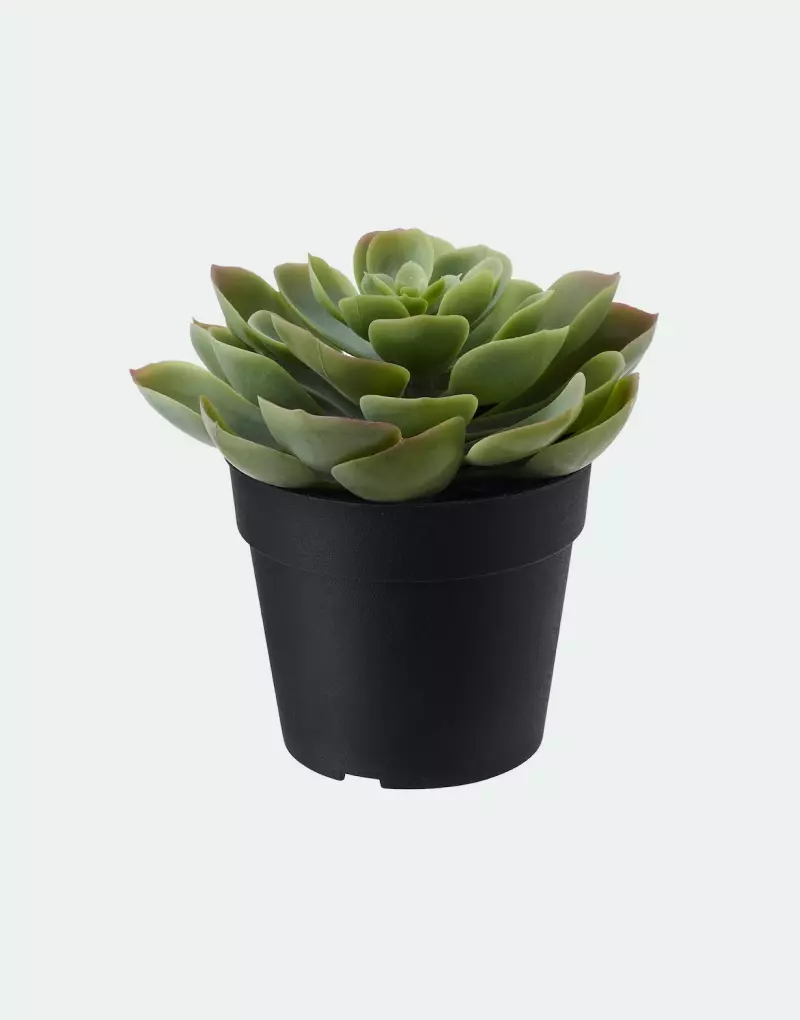 Fejka artificial plant